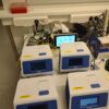 Connectivity for 'Credo Vita PCR' - automatic transmission of results and CT values to EHR/LIS - Image 3